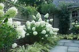Conseils De Pro Pour Associer Vos Plantes Au Jardin Jardins Jardin Contemporain Jardin Mediterraneen