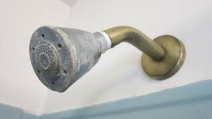 4 cleaning your shower head 5 cleaning a shower door 6 washing your curtain and liner Best Way To Clean A Dirty Showerhead House Tipster