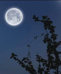 What is a full moon? All you need to know
