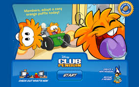 Book room boiler room √ mine coffee shop. Club Penguin Orange Puffle Digiboi S Club Penguin Cheats Site