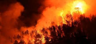 Près de 300 hectares brûlés, feu contenu. 1kggr6fmuoruam