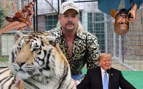 The tiger king himself, joe exotic, is being released from prison and has said he has plans to start however, it has been announced that due to his good behaviour in jail and the popularity of the netflix. Kim And Kanye Want To Free Joe Exotic From Jail