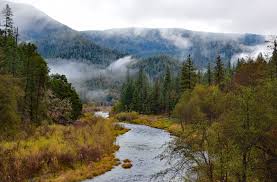 Fire Honey Recipe for Cold Season