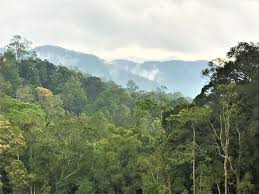 Things to do in bukit fraser, malaysia: Things To Do In Fraser S Hill Family Friendly Guide World For A Girl