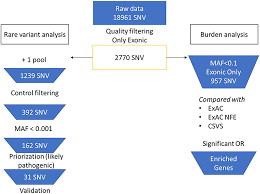 Frontiers Excess Of Rare Missense Variants In Hearing Loss Genes In Sporadic Meniere Disease Genetics