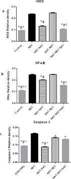 Vrijdagavond kwam de ploeg van peter hyballa tegen nec … Plos One Prophylactic Antenatal N Acetyl Cysteine Administration Combined With Postnatal Administration Can Decrease Mortality And Injury Markers Associated With Necrotizing Enterocolitis In A Rat Model