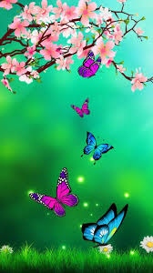 Images of purple butterflies, yellow butterflies, and pink butterflies will cover your phone screen with elegance and style and these amazing hd wallpapers will put a smile on your face like none of the previous wallpaper backgrounds. Nature Butterfly Wallpapers 4k Hd Nature Butterfly Backgrounds On Wallpaperbat