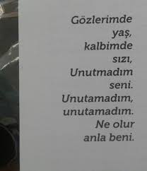Unutmadim Sozleri Sozlermer Olur da bir guen boeyle bir sevgiyi unutabilmek muemkuen olsa bile gecmişi unutma soezleri muemkuen olabilir mi? unutmadim sozleri sozlermer