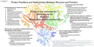 Protein Folding Structure Prediction Posters Examples Of Student Work Illinois Math And Science Academy