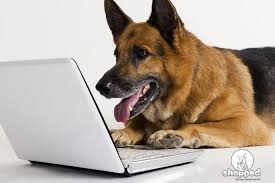 These dogs are truly a man's best friend. German Shepherd Names What Are The Most Commonly Used Ones