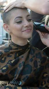 Pin On Clippers