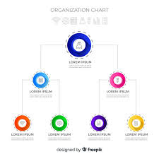 Organization Chart Vector Free Download