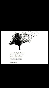 Bana Cicek Gonderme Bie Kus Agaci Gonder Ulku Tamer Siir Agac Kus