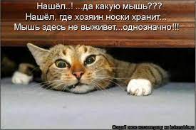 Резултат с изображение за „шутки“