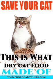 Does Dry Cat Food Go Bad Facts Cat Food Dry Cat Food Best Cat Food