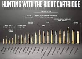 the right caliber for game chart aldeer com