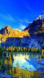 Download and use 100,000+ 4k nature stock photos for free. Nature Hd Wallpapers For Mobile 4k