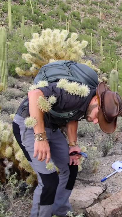 Ouch!! #cactus #attack 🌵 | TikTok
