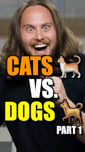 Cats vs. Dogs Pt. 1 🐱🐶 #cats #funnycats #catsofinstagram #kittens  #standupcomedy