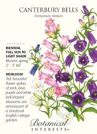 Canterbury Bells Bellflower Seeds 500 Mg Campanula 296885800438531124 Botanische Blumen Blumensamen Bedeutung Von Blumen