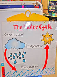 Water Cycle Mycyclestore Com Water Cycle Kindergarten