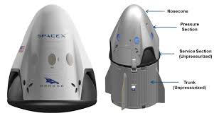 Image result for dragon spacex