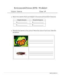 Your grade 3 kid will love to solve these engaging exercises and interesting collections of puzzles. Environmental Science Evs Insects Worksheet Class Ii