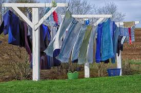 The most noticeable difference between the amish and mennonites is that mennonites generally do not shun technology or contemporary society. 10 Ways To Adopt An Amish Lifestyle Tracy Fredrychowski Author