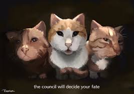 🐱Naomi🐱 (@PyroNaomi)