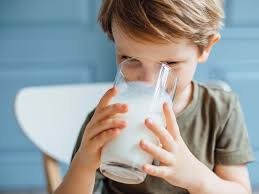 Why Did Humans Start Drinking Cow Milk