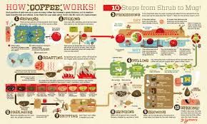 Need a new coffee shop order? Infographic What Does The Coffee Supply Chain Look Like