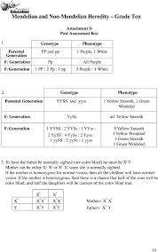 This series of worksheets keys in on the prediction of. Mendelian And Non Mendelian Heredity Grade Ten Pdf Free Download