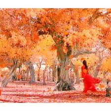 весна лето осень зима и снова весна смотреть онлайн Hero Movie Falling Leaves Google Images Beautiful Cinematography Adventure Movies Hero Movie