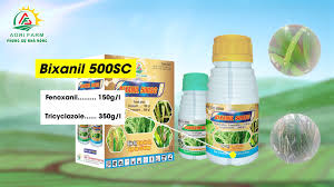 Bixanil 500SC