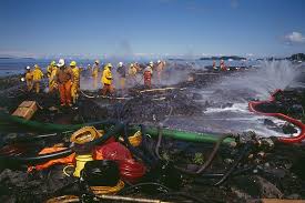 This spring, when students were asked if they thought that prince william sound had recovered from the exxon valdez oil spill, not a single yes hand went up. The Exxon Valdez Oil Spill History And Impact
