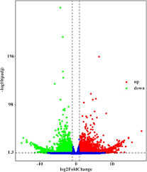 Genome sequence and spore germination-associated transcriptome analysis of  Corynespora cassiicola from cucumber