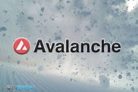 That's why you will have the 3rd generation blockchains coming more to the picture in. Avalanche Review Avax Worth It What You Need To Know