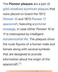 Image result for pioneer plaque