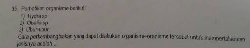 Check spelling or type a new query. Cara Perkembang Biakan Yang Dapat Di Lakukan Oleh Organisme Organisme Tersebut Adalah Brainly Co Id