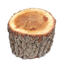 Knocking On Wood Knocking On Wood Or Simply Saying Knock On Wood After Making A Hopeful Statement Is Rooted In Knock On Wood Superstition Legends And Myths