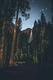 Living things and non living things do share many similarities, but water is not a living thing. Live Wallpapers Free Hd Download 500 Hq Unsplash