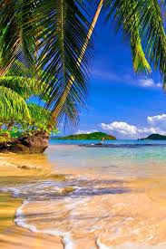 By tomi ardiansyahposted on october 2, 2019february 1, 2020. Shore Palms Tropical Beach Hd Desktop Wallpapers High Definition Desktop Background