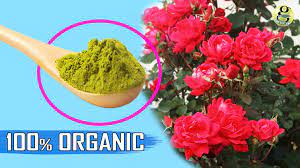 Best natural fertilizer for flowers. Best Organic Fertilizer Gkvks Gardening Tips And Store