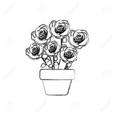 Figure Roses Inside Flower Pot Icon Vector Illustraction Design Royalty Free Cliparts Vectors And Stock Illustration Image 73440356 Choose from 35,926 hd rose figure graphic resources and download in the form of png, eps, ai or psd.