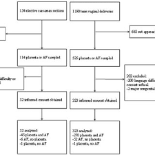 Flow Chart Of Women Participating In The Study Amniotic