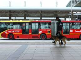Conoce las novedades, mapas, horarios y tarifas. A Donde Iran Los Perros Que Hoy Vigilan Los Colados En Transmilenio Tubarco Noticias