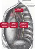 Image result