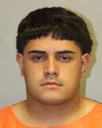 Police Charge Pāhoa Man Following Reckless Endangering Incident