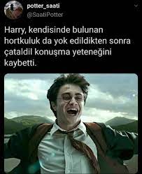 pin by n14 on aga be in 2020 harry potter fictional characters dramatic