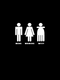 A collection of the top 47 funny ipad wallpapers and backgrounds available for download for free. Funny Ipad Wallpapers Top Free Funny Ipad Backgrounds Wallpaperaccess